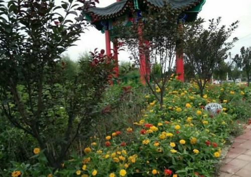 薇波公园旅行图片 2