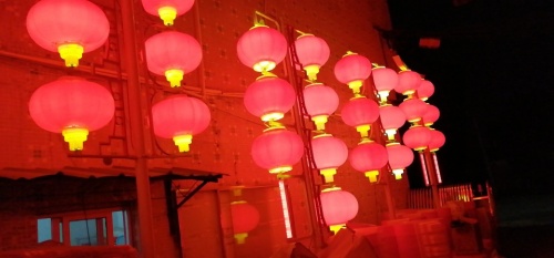 千年罗汉松公园旅行图片 3