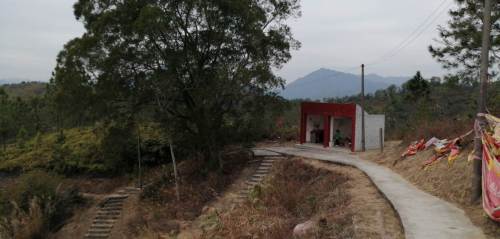 赖婆太墓旅行图片
