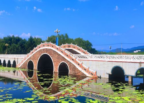 荷韵公园