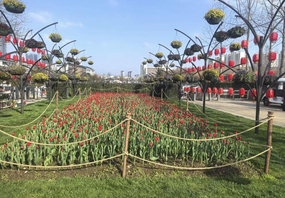 三翁花园景点图片