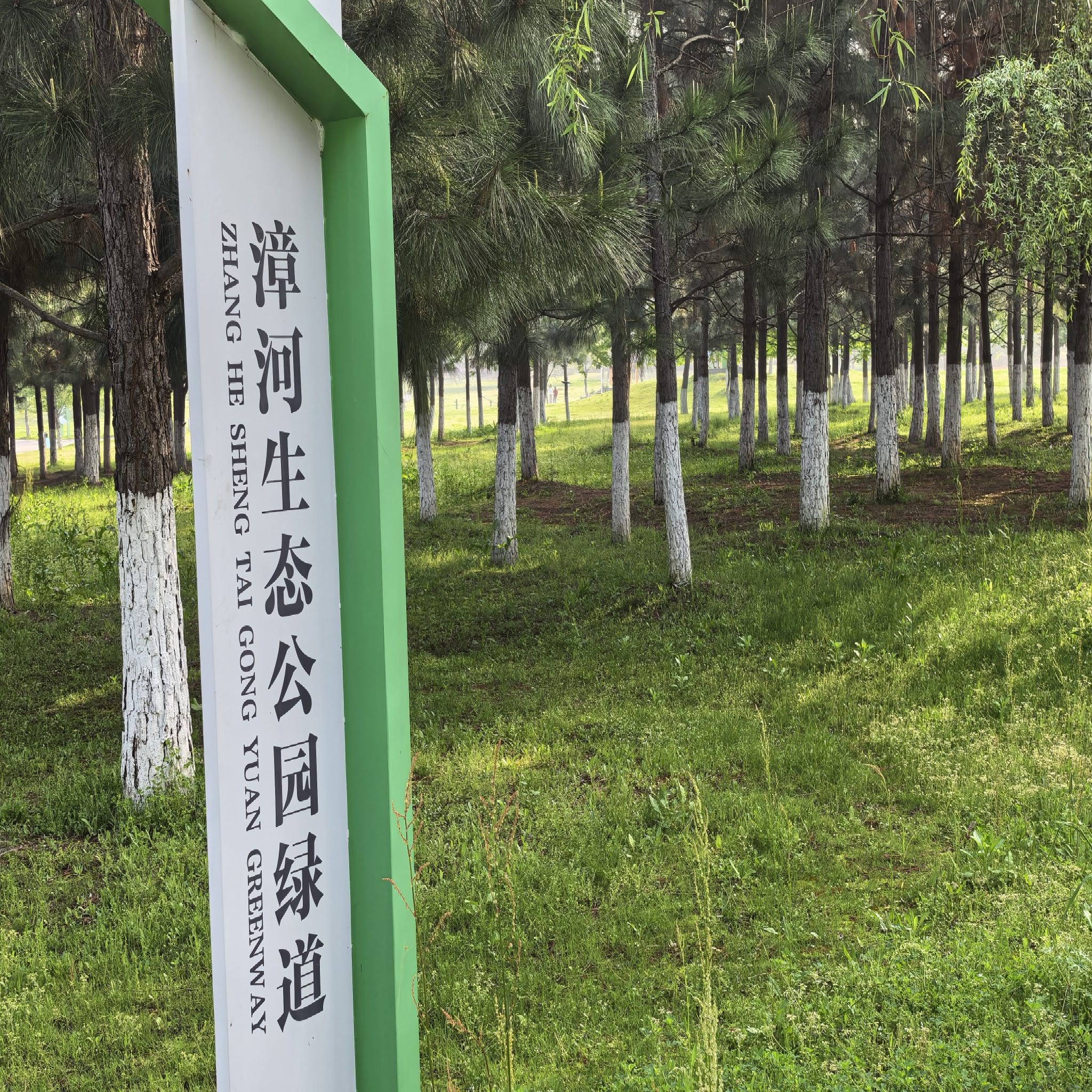 漳河生态公园