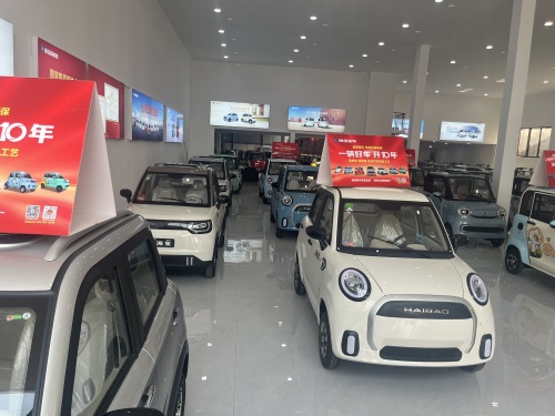 海宝新能源(定州旗舰店)
