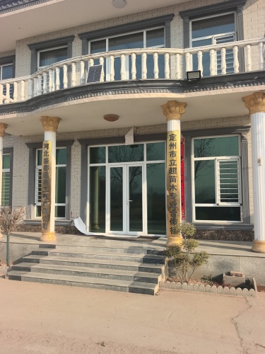 定州市立超苗木花卉农民专业合作社