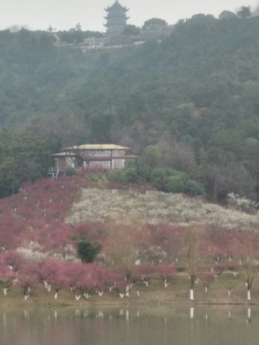 浦江县月泉书院遗址公园旅行图片 2