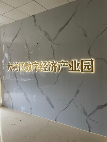 大湾区数字经济产业园实景图