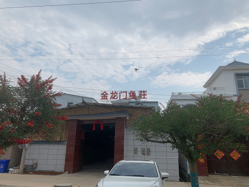 金龙门鱼庄