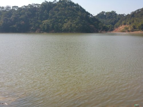 信宜市高城水库湿地公园旅行图片 3