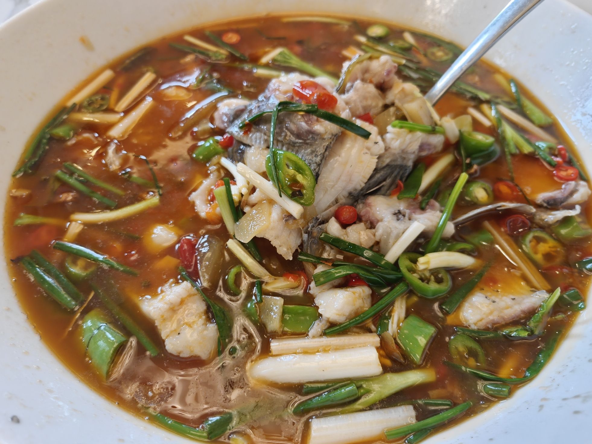 何老幺鲜鱼府(宜宾总店)