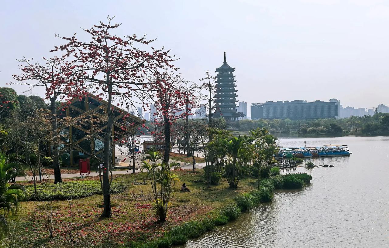 五象湖公园现场照片 2