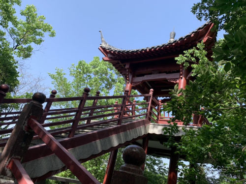 龙山公园旅行图片 2