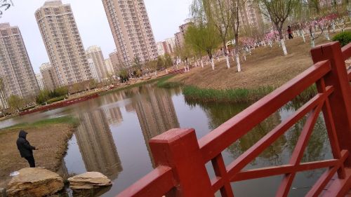 赤龙公园旅行图片 2