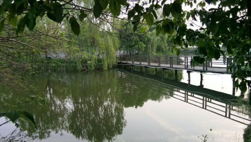 烟语桐舟旅行图片 2