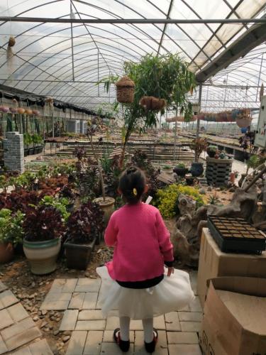 四月天多肉植物园旅行图片 1