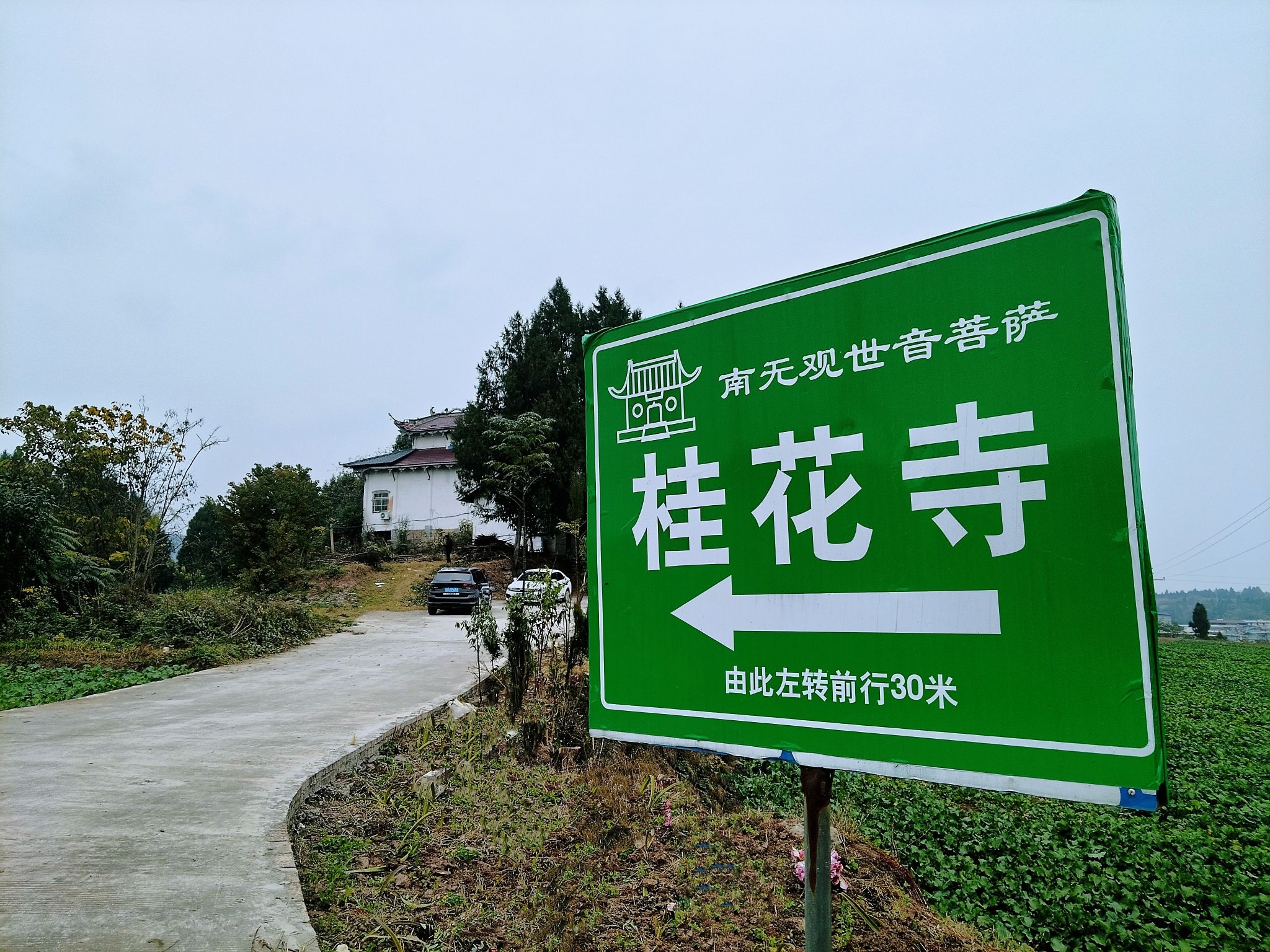 乐至县桂花寺实景照片