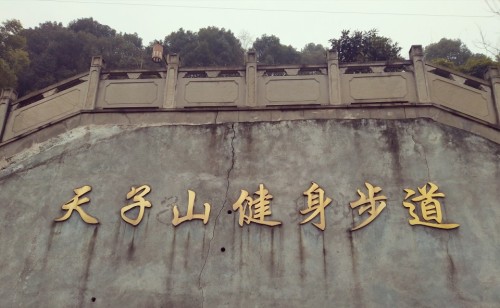 天子山景区旅行图片 2