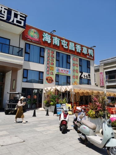 盐禾堂海南屯昌香草鸭