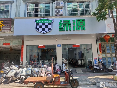 绿源电动车(万新街店)