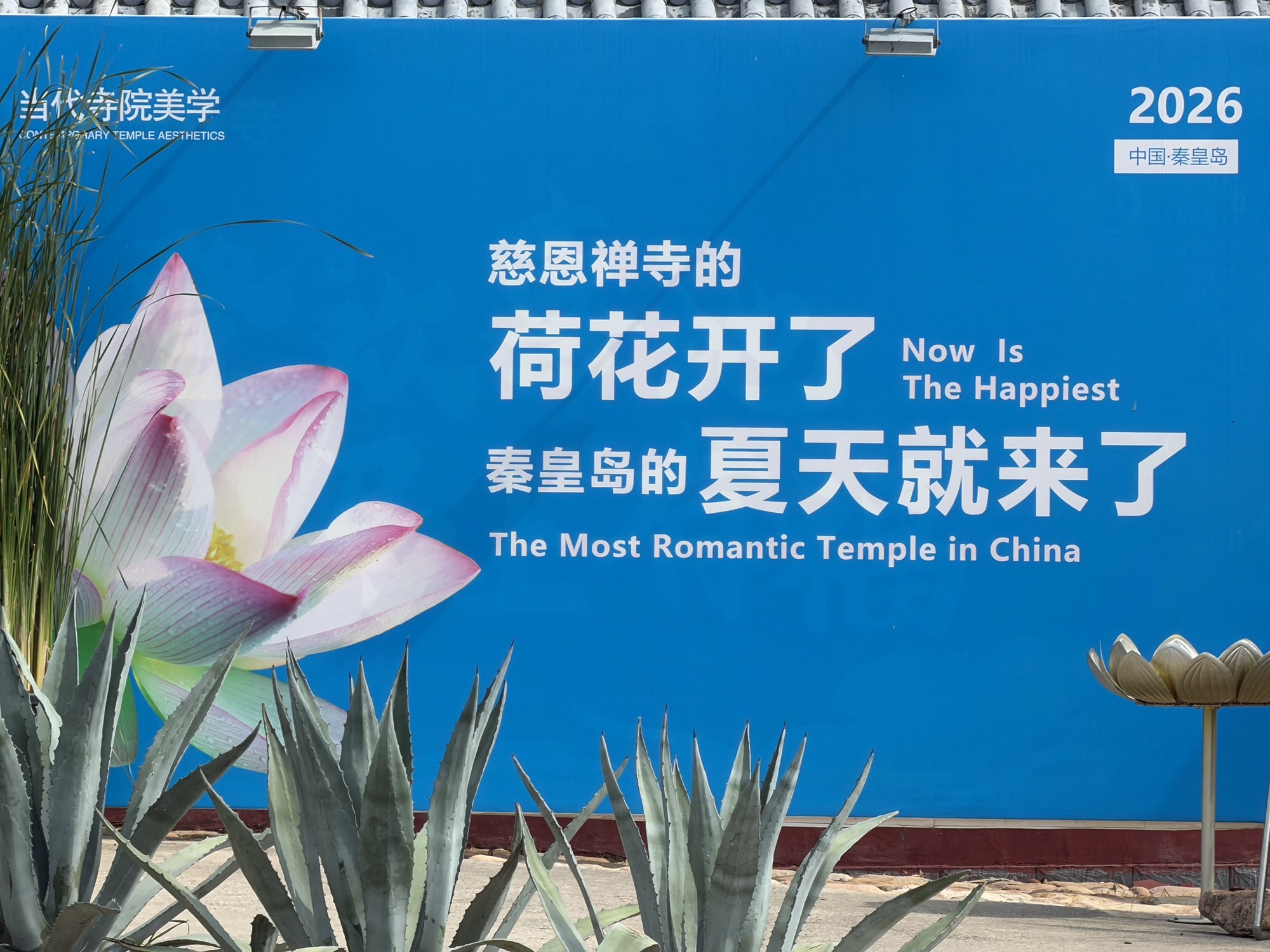 慈恩禅寺实景照片
