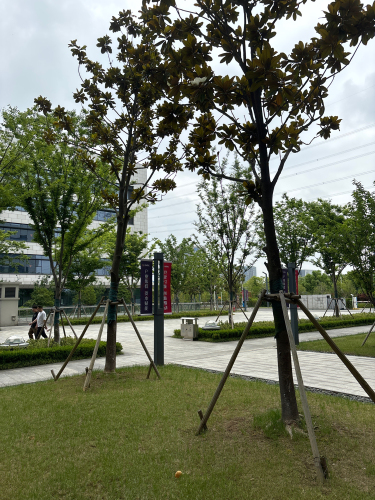莊嚴·博济科技园实景图（3）