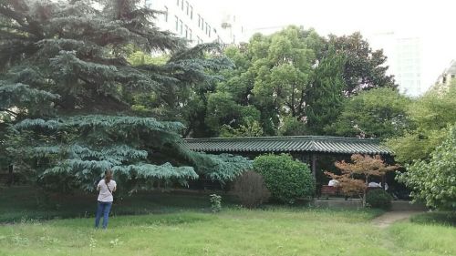 颐园旅行图片 1
