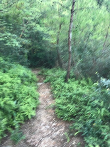 社姆殿风景区旅行图片 2