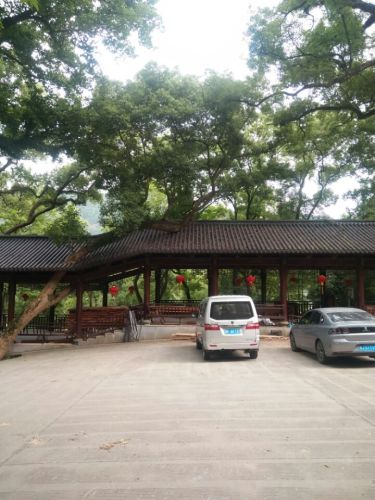 江厦森林公园旅行图片 1