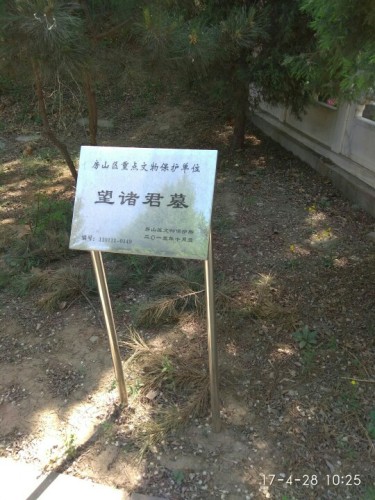 乐毅墓旅行图片 1