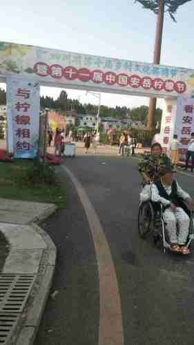 柠都乐园旅行图片 1