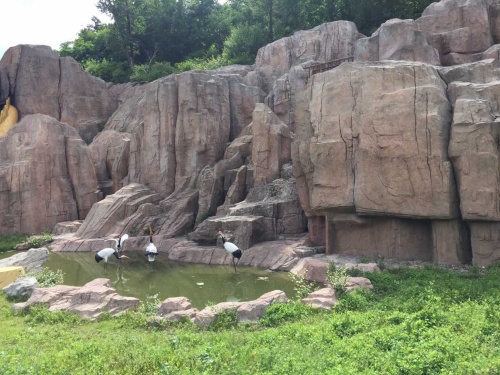 龙顺雪山飞湖旅游景区(暂停开放)旅行图片 3