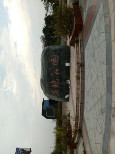 防城港湿地公园旅行图片 3