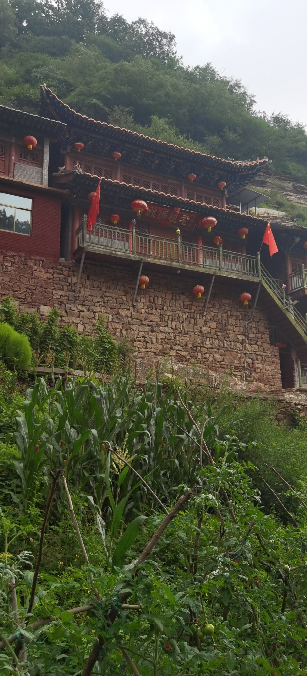 性空山老祖佛殿实景照片