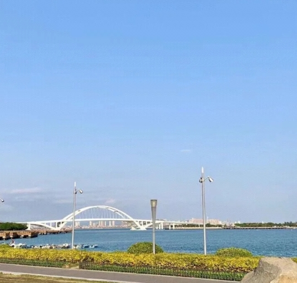 五缘湾湿地公园景点图片