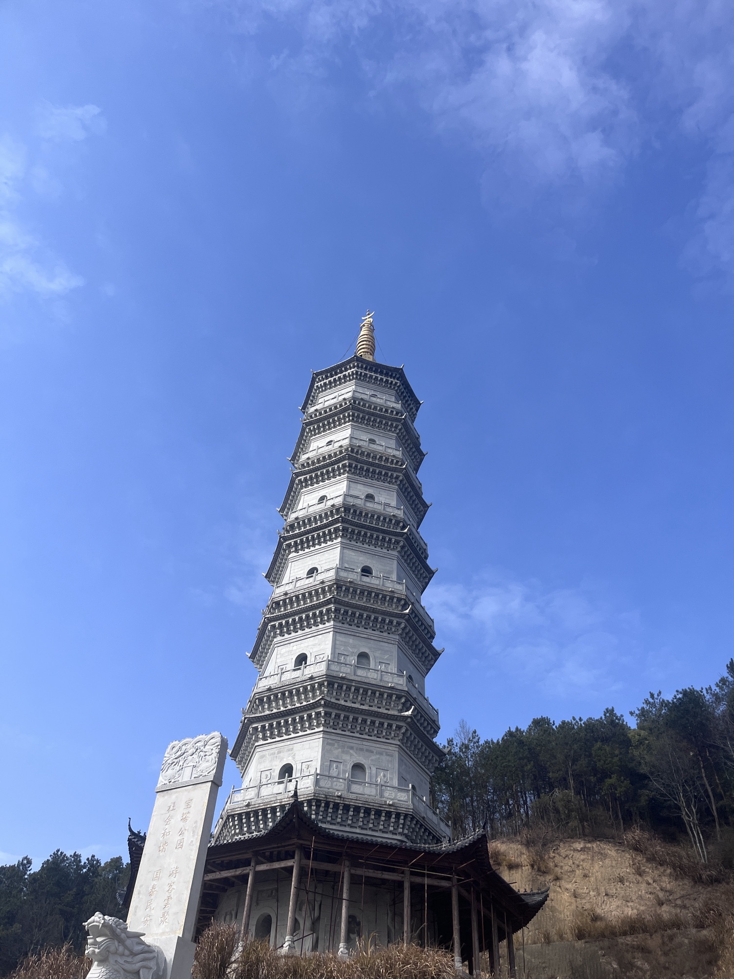 广济寺森林公园实景照片
