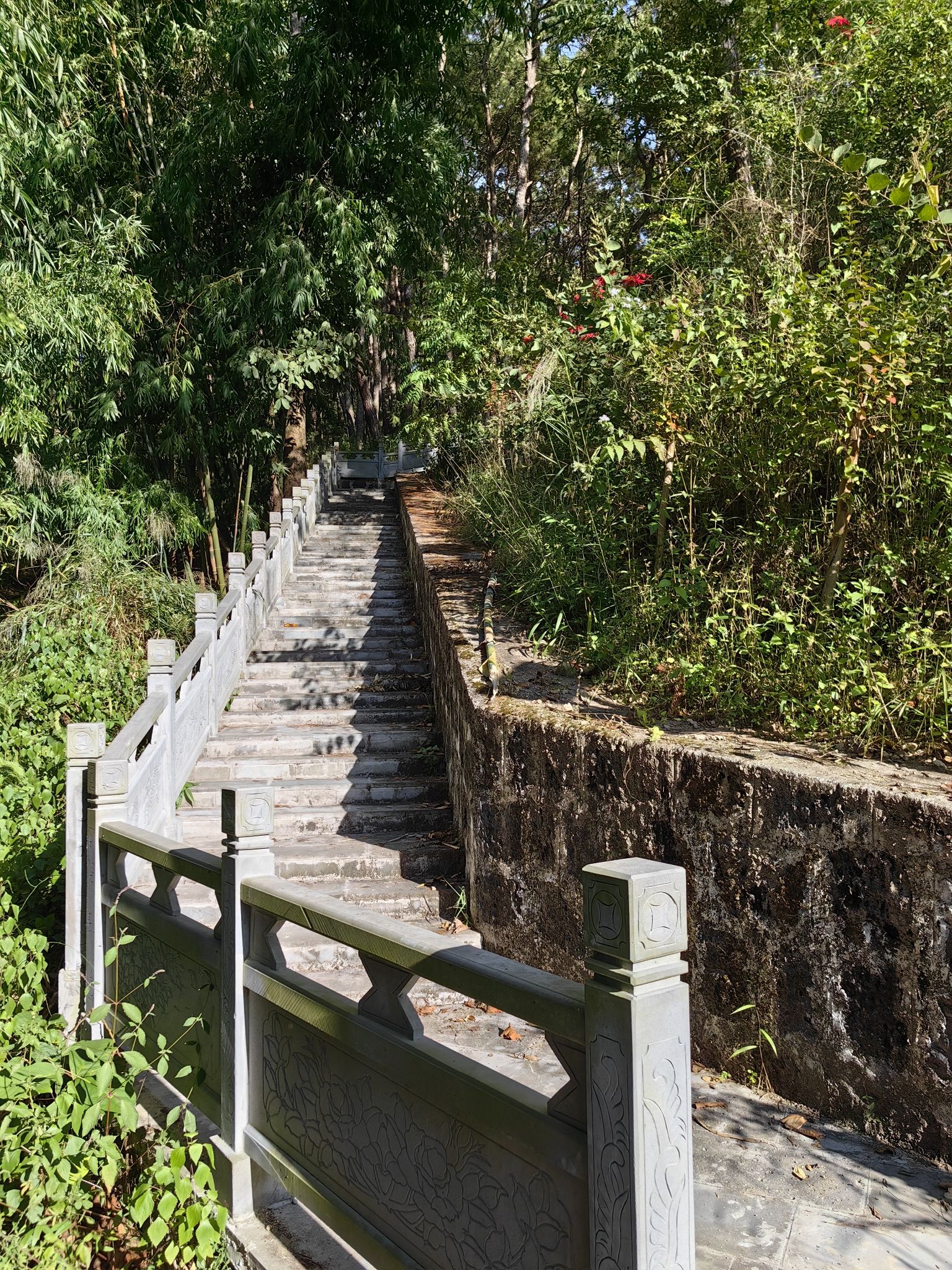 青松寺实景照片