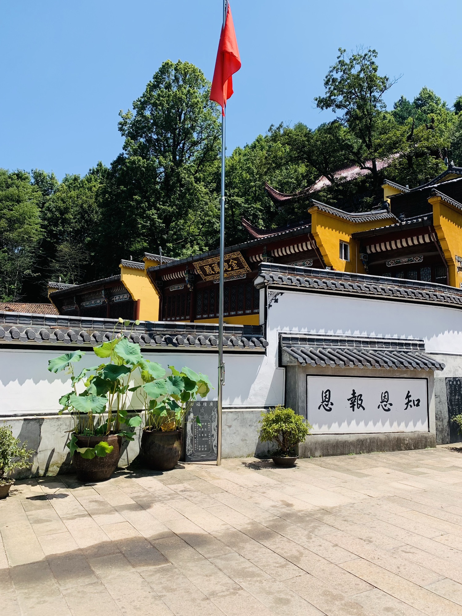 金地藏殿实景照片
