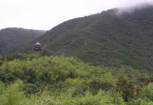 青青世界旅行图片 1