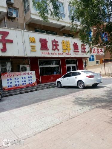 重庆鲜鱼庄(中兴西路店)