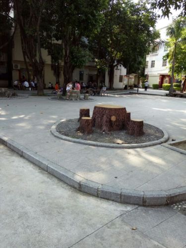 新兴社区公园旅行图片 2