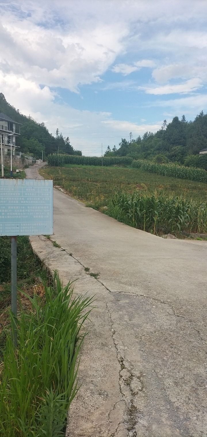 五龙观实景照片