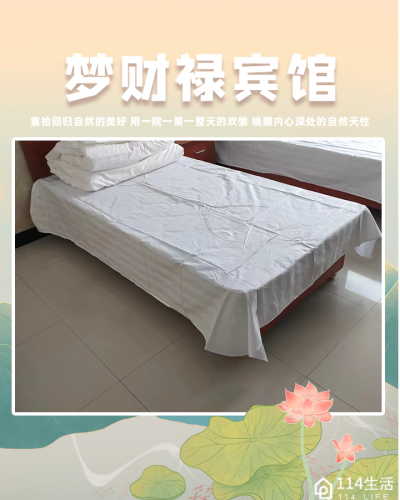梦财禄宾馆