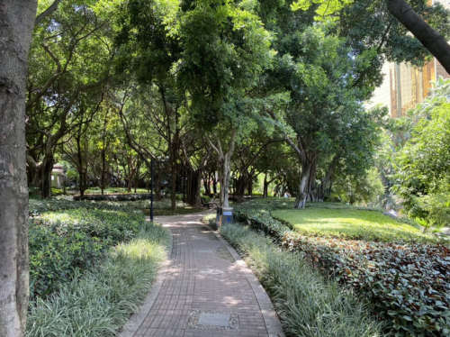 湿地公园南段旅行图片 1