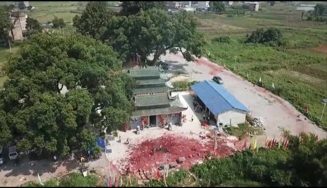 龙湾庙实景照片