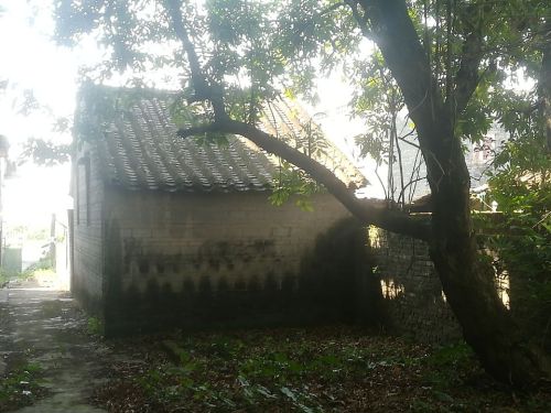 荣桂坊旅行图片 1