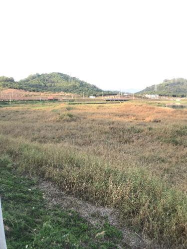 文起东古墓旅行图片 3