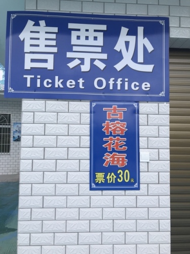 古榕花海园旅行图片 3