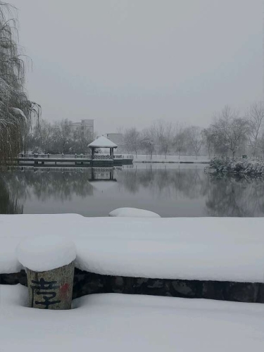 千柳公园旅行图片 2