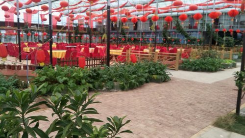 清溪山谷旅行图片 2