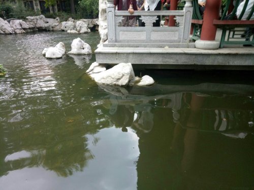 乾明寺游览区旅行图片 1