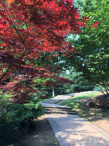 长山公园旅行图片 2